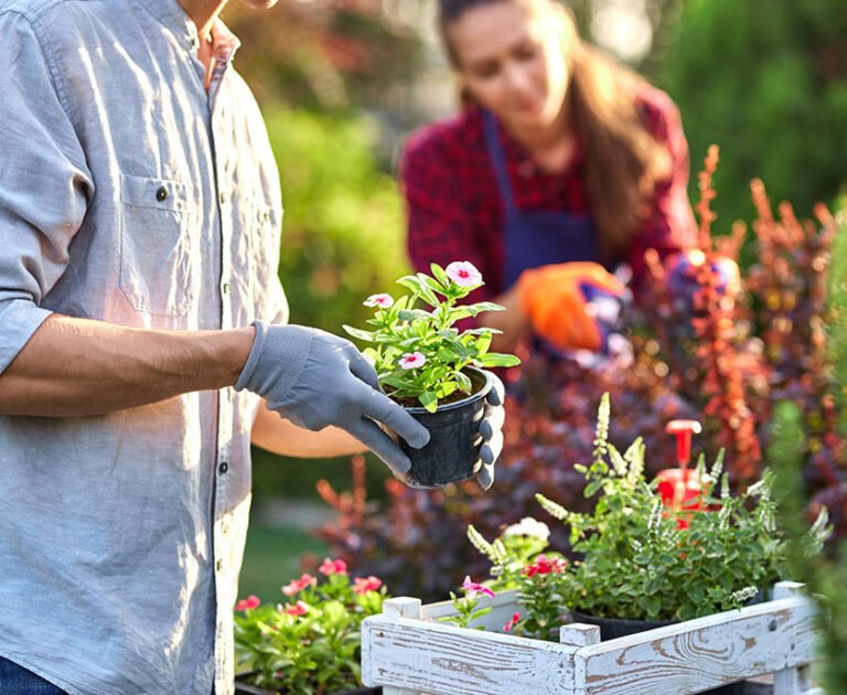 blog_featured_4 blog_featured_4