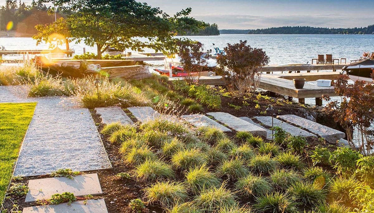 Conseils Essentiels pour l’Entretien de Votre Jardin en Côte d’Ivoire